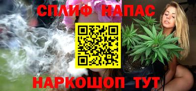 дмт Славгород