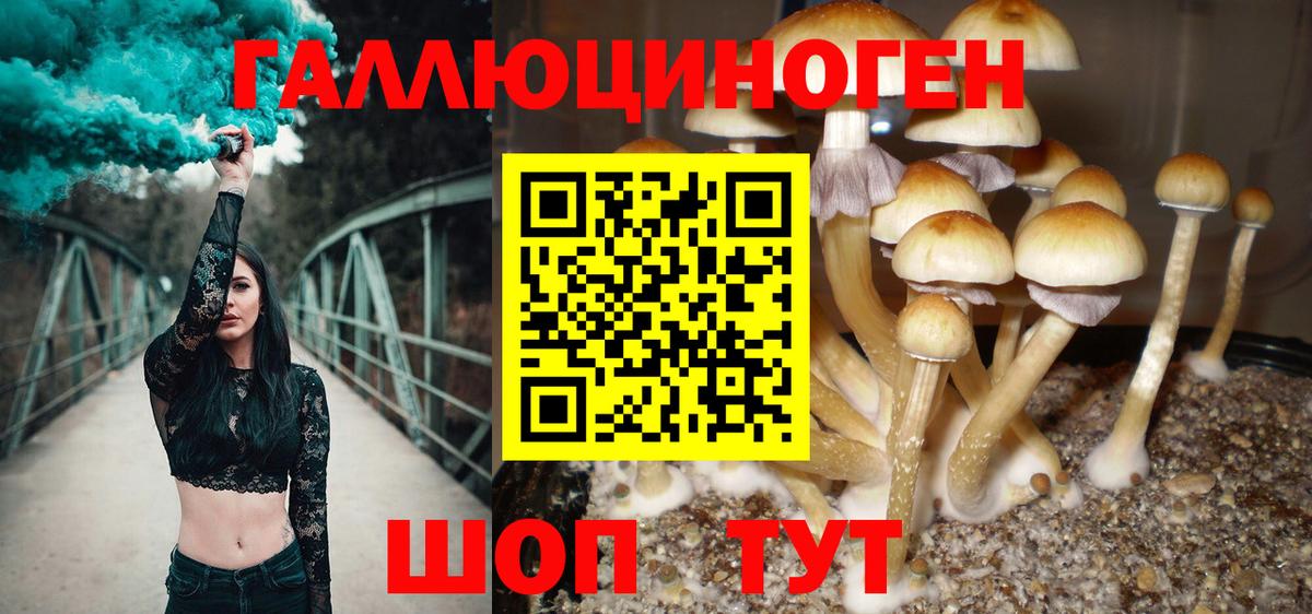 Галлюциногенные грибы MAGIC MUSHROOMS Ханты-Мансийск