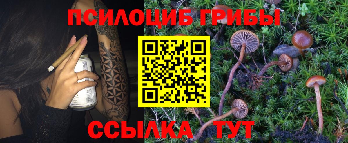 Галлюциногенные грибы Psilocybe  Вход с VPN  Ханты-Мансийск  Галлюциногенные грибы Psilocybine cubensis 